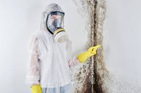 Best Comprehensive Air Testing for Mold Contaminants  in USA